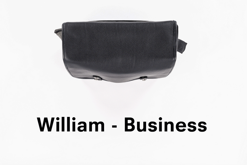 Camera and messenger bag WILLIAM Red Dot